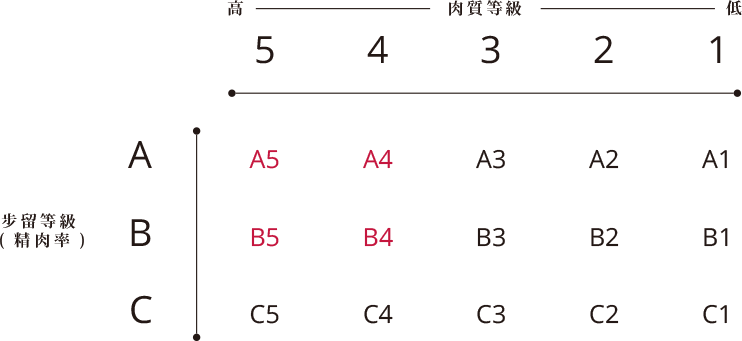 mayfull美福 日本和牛分級